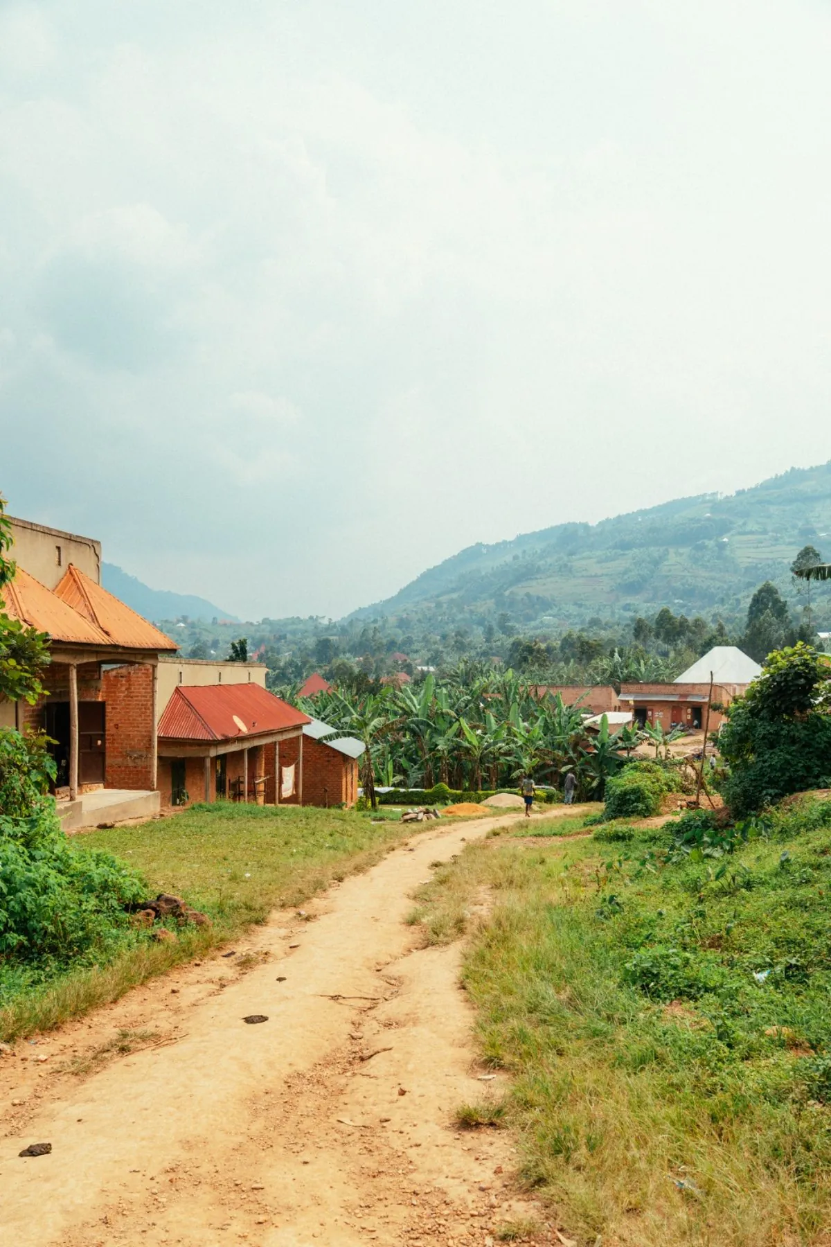 Buhoma — Uganda wildlife safari destination