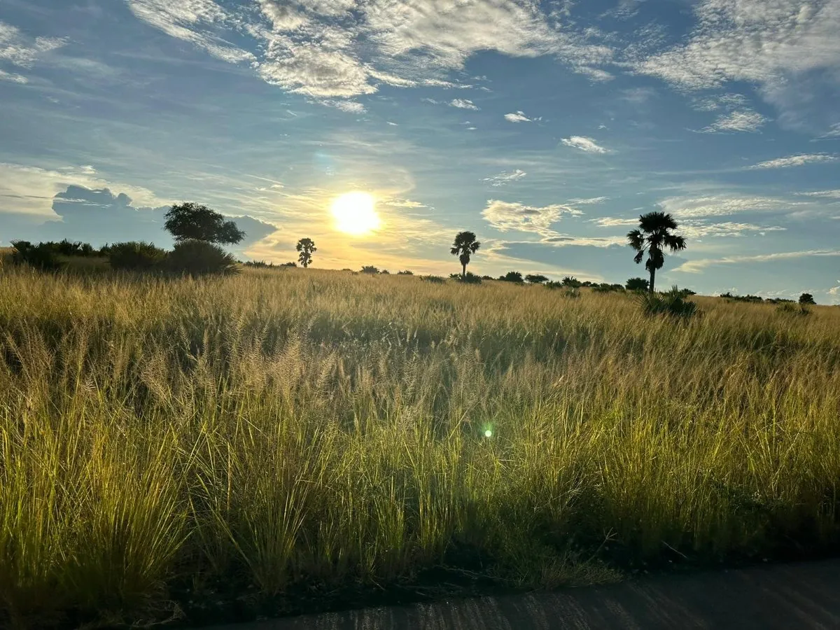 Ishasha Sector — Uganda wildlife safari destination