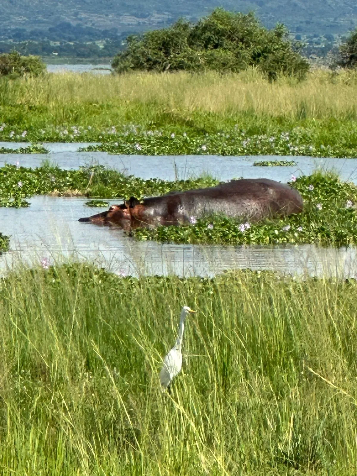 Kazinga Channel — Uganda wildlife safari destination