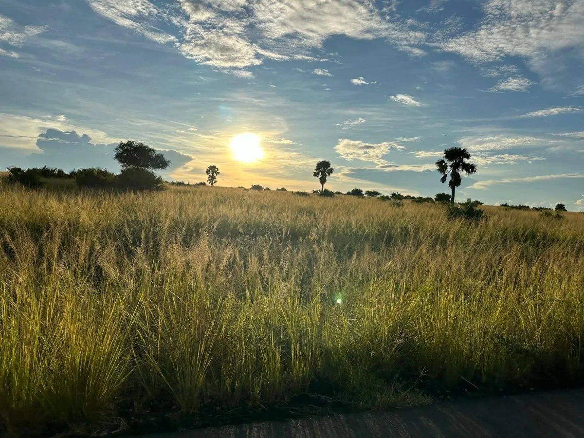 Best of West Uganda — 7 Days — Uganda safari